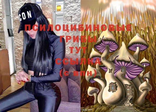 экстази Пересвет